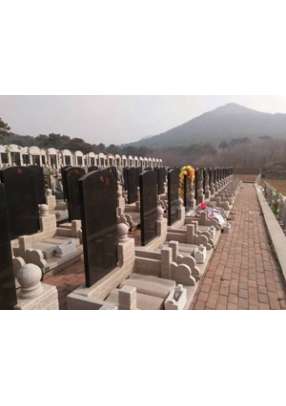 傲梅园